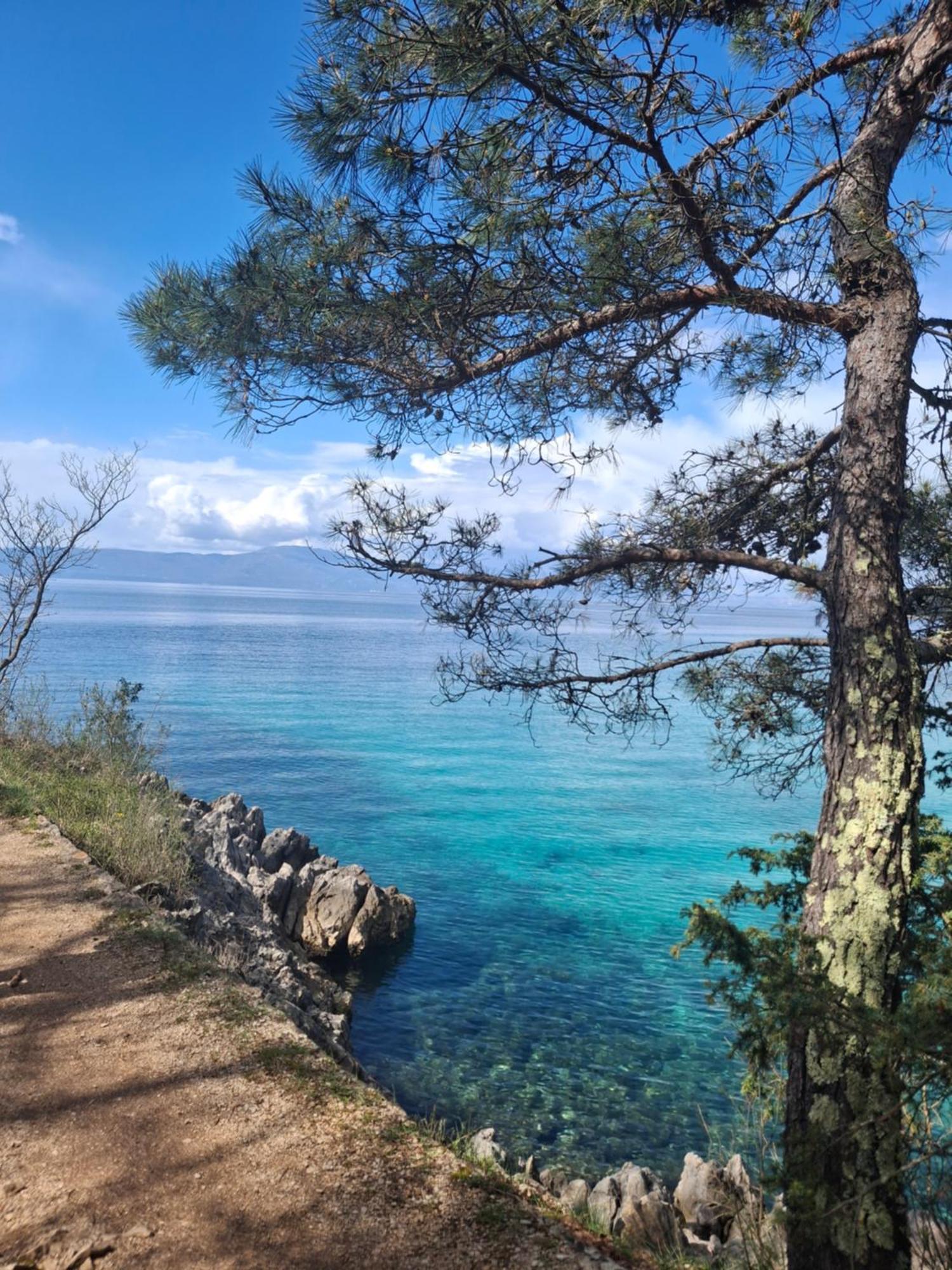 Apartman Ivona Malinska Εξωτερικό φωτογραφία