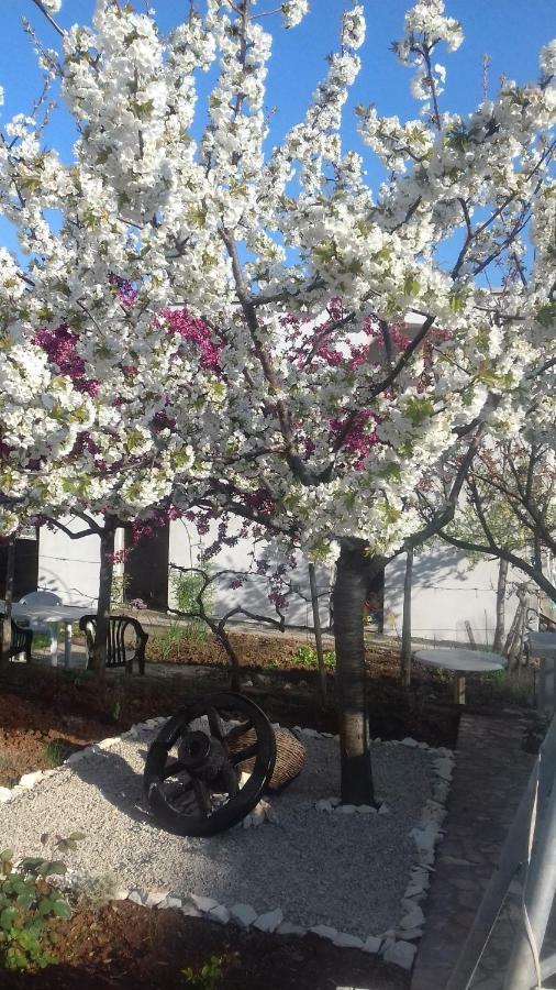 Apartman Ivona Malinska Εξωτερικό φωτογραφία